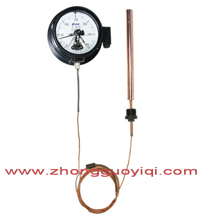 WTQ-288ӵѹʽ¶ȼ